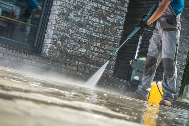 Best Driveway Pressure Washing  in Oberlin, OH